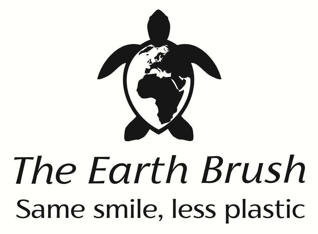 Earth Brush Cover Image